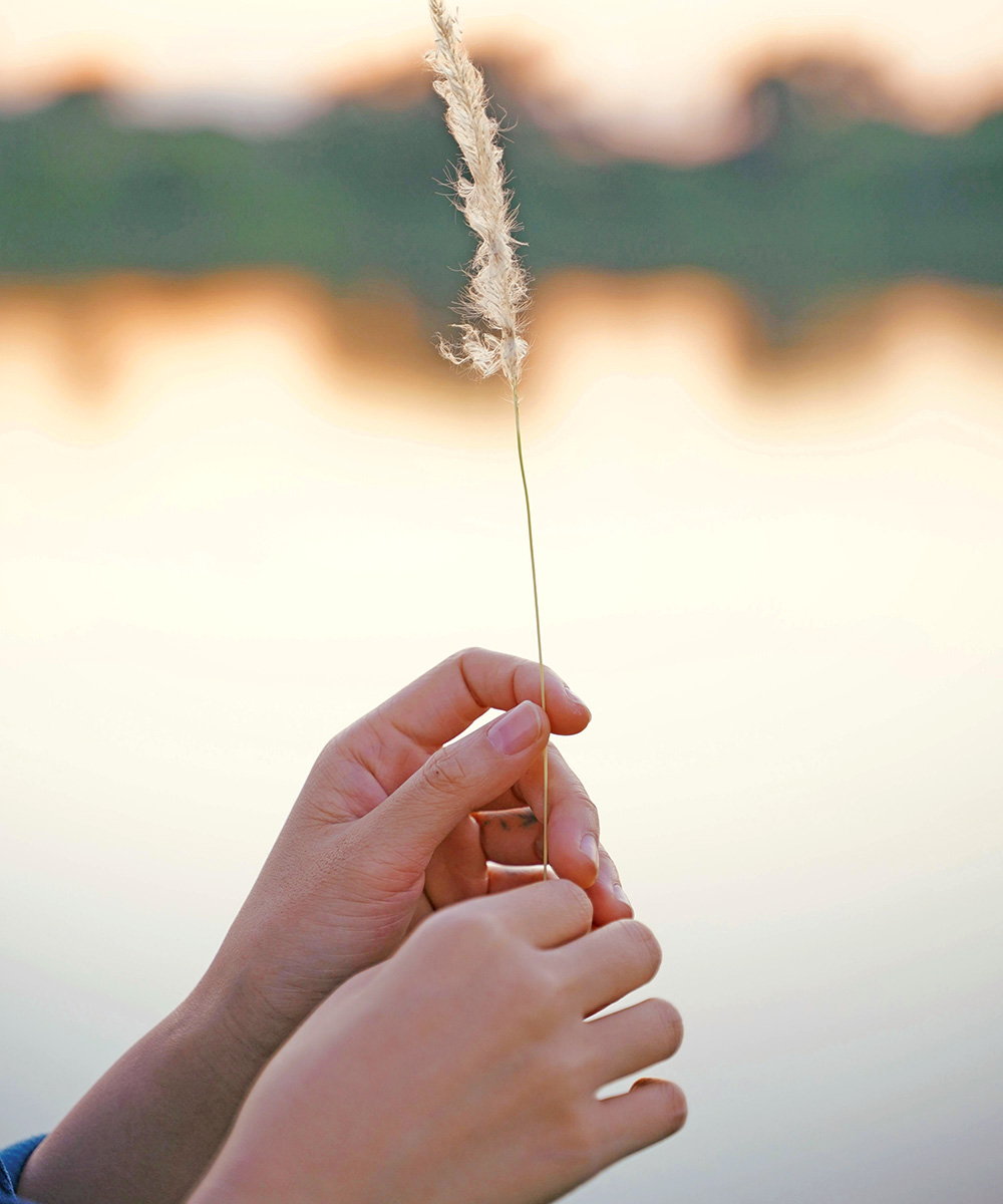 Taller de mindfulness. Psicología en Zaragoza