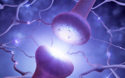 Cómo funciona el trauma psicológico en nuestro cerebro: del caos emocional a la integración con la terapia EMDR