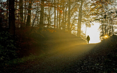 Estoy en duelo: ¿es normal lo que me está pasando?