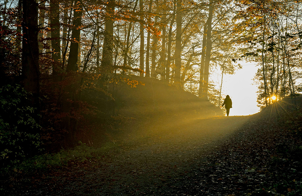 Acompañamiento psicológico en duelo en Zaragoza