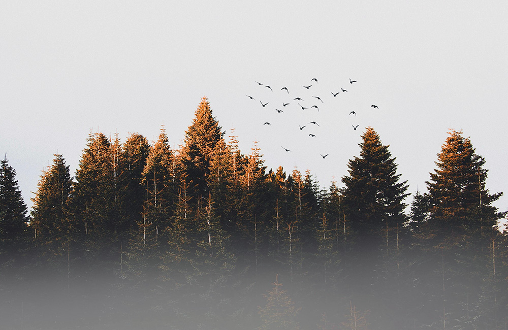 ¿Cuándo debería preocuparme el duelo y pedir ayuda psicológica profesional?