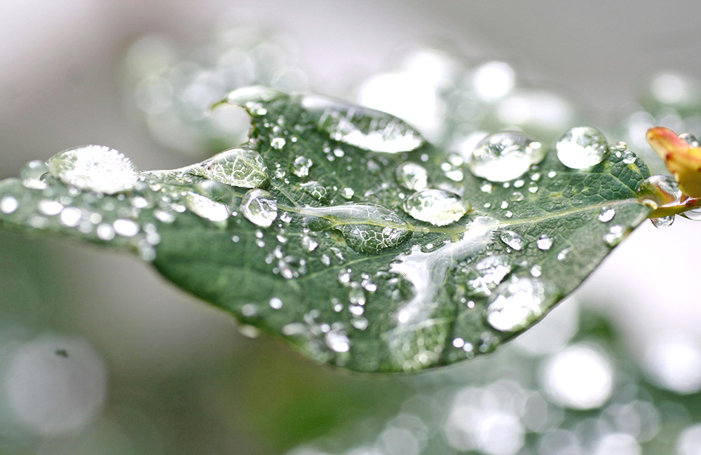 El duelo no solo aparece ante la muerte